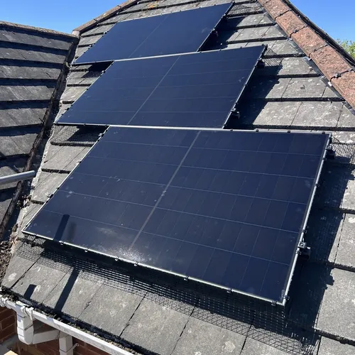 Solar panels with bird mesh fitted around the edge of the array